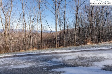 TBD Antler Trail, Boone, NC 28607 - photo 4