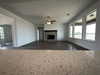 185 Lonicera Ln, Paradise, TX 76073 - photo 5