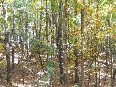 Wooded with Stream