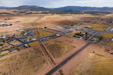 003. Lot #8 - SouthEast View - Aerial