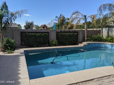 Backyard 3