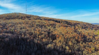 60A Blackcat Mountain Rd, Poland, ME 04274 - photo 2