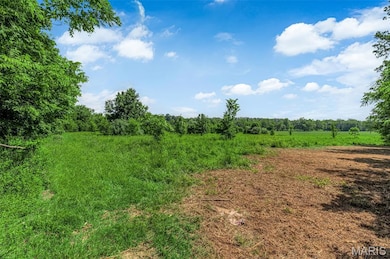 671 Birkhead Rd, Winfield, MO 63389 - photo 3