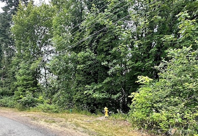 0 XX NE 2nd St, Winlock, WA 98596 - photo 5