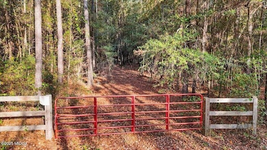 0 Massey Rd unit 182406, Tennille, GA 31089 - photo 4