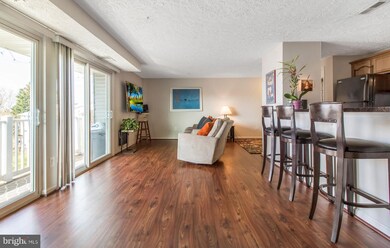 301 Palmspring Dr unit 10, Gaithersburg, MD 20878 - photo 2