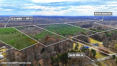 Lot 1 Hurdle Mills Rd, Roxboro, NC 27574 - photo 4