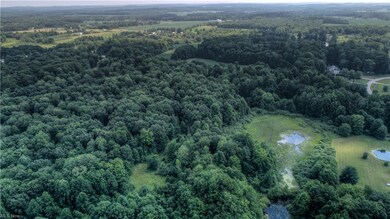Heavily wooded area at North end of parcel looking