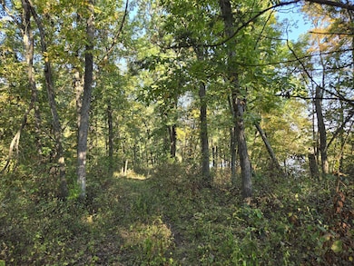 150th Street, Floris, IA 52560 - photo 7