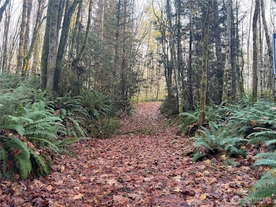 1 XX View Dr NE, Poulsbo, WA 98370 - photo 3