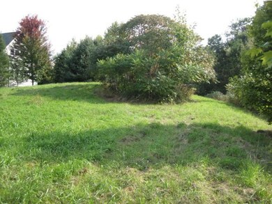 Williston building lot