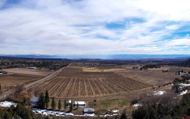 19235 2325 Rd, Cedaredge, CO 81413 - photo 2