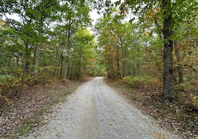 0 Valley View Drive Lot 34, Altamont, TN 37301 - photo 3