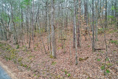 tr 6 Old Bucktown Rd, Ellijay, GA 30536 - photo 7