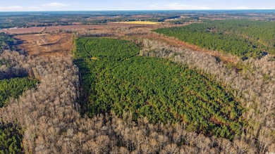 TBD S Carolina 34, Bishopville, SC 29010 - photo 6