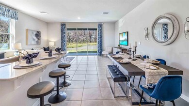 3753 Burmese Teak Place, Land O' Lakes, FL 34638 - photo 5