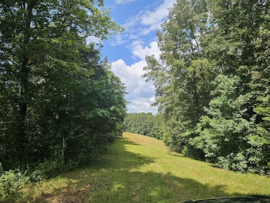 0 Young Ridge Rd unit RTC2818522, Sparta, TN 38583 - photo 2