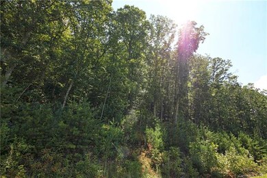 11 & 12 Spruce Tree Ct unit 15 & 19, Leicester, NC 28748 - photo 2