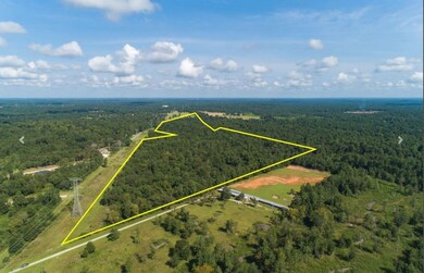 TBD Wild Pecan Dr, Tomball, TX 77375 - photo 5