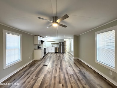 198 Trout St, Holly Ridge, NC 28445 - photo 3