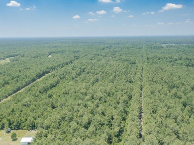 xx Acorn Dr, Crawfordville, FL 32327 - photo 7