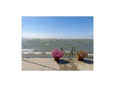 View From Patio