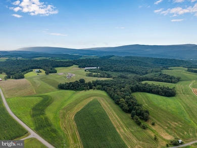 729 Gloss Rd, Honey Grove, PA 17035 - photo 5