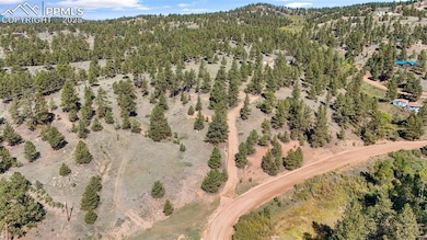 163 Valley View Dr, Florissant, CO 80814 - photo 5