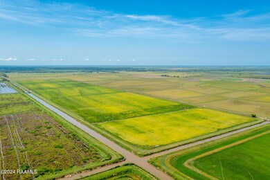IntracoastalLodge.Rice-7