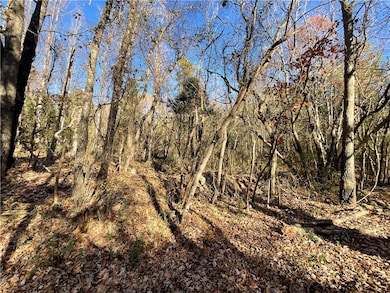 0 Prater Farm Rd, Seneca, SC 29678 - photo 5