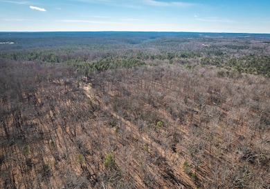 000 Deason Drive-Tract 2, Licking, MO 65542 - photo 5