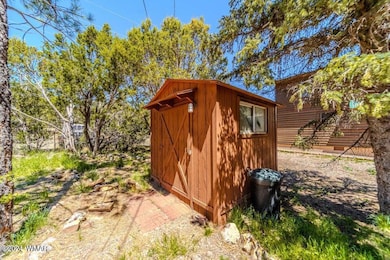 3396 Navajo Dr, Heber-Overgaard, AZ 85933 - photo 4