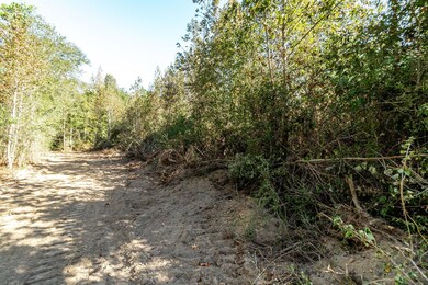 Parcel 3, Tylertown, MS 39667 - photo 5