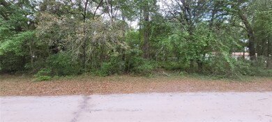 000 NE 153rd St, Fort Mc Coy, FL 32134 - photo 3