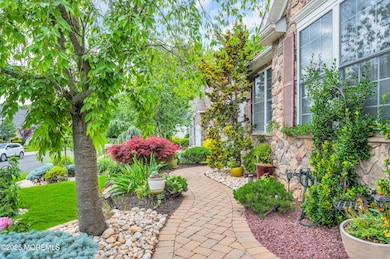 Front Gardens