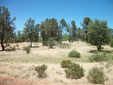 400 W Forest Dr unit 15, Payson, AZ 85541 - photo 5