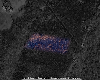 0 Tower Mountain Ln unit 666341, Mount Jackson, VA 22842 - photo 7