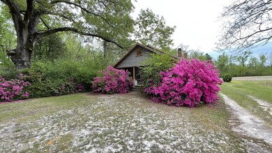 IMG_0042