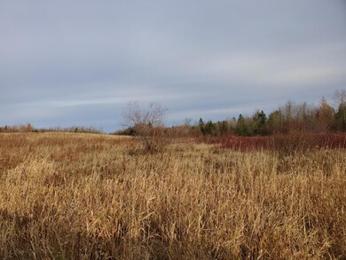 20201030_155317