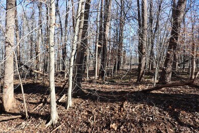 Lot 2C Wilderness Way, Moneta, VA 24121 - photo 5