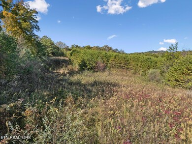 13-Cty Rd 731, TN 37385 - 011