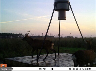 1744 E Tedious Creek Rd, Toddville, MD 21672 - photo 2