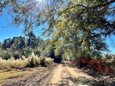 78-83 Rogers Ln, Tylertown, MS 39667 - photo 4