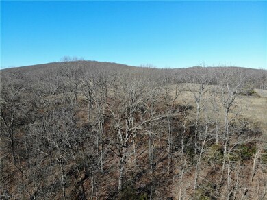 11529 Brubaker Rd, West Fork, AR 72774 - photo 5