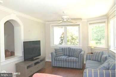 7101 Marlan Dr, Alexandria, VA 22307 - photo 4