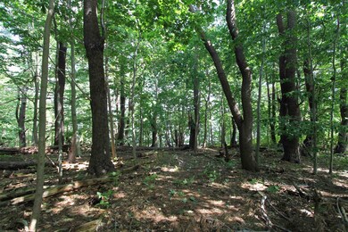 12 Phelps St, Kittery, ME 03904 - photo 4