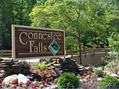Welcome to Connestee Falls