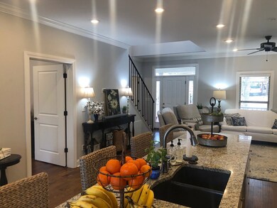 503 Dove Hollow, Oxford, MS 38655 - photo 4