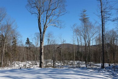 00 Chapman Rd, Ludlow, VT 05149 - photo 2