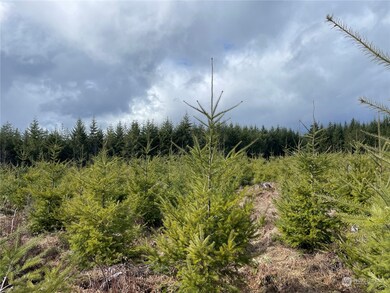 0 NA Hooper Rd, Longview, WA 98632 - photo 3